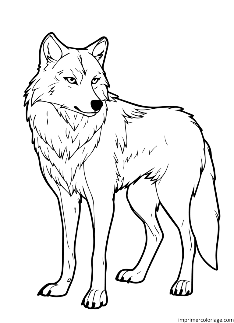 Coloriage loup for&ecirc;t - dessin gratuit &agrave; imprimer