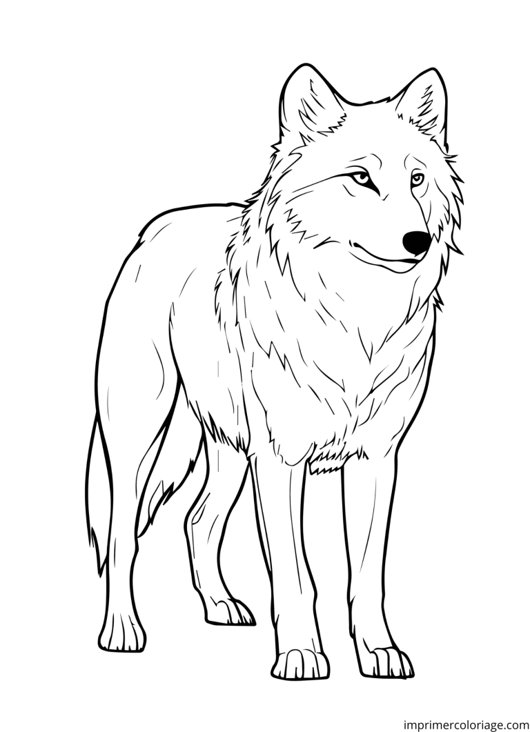 Coloriage loup sauvage - dessin gratuit &agrave; imprimer