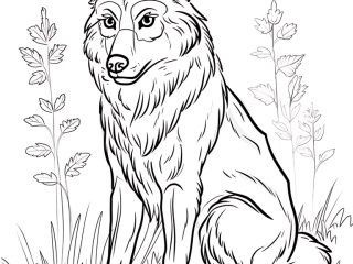 Coloriage loup seul à imprimer Coloriage loup seul - dessin gratuit à imprimer