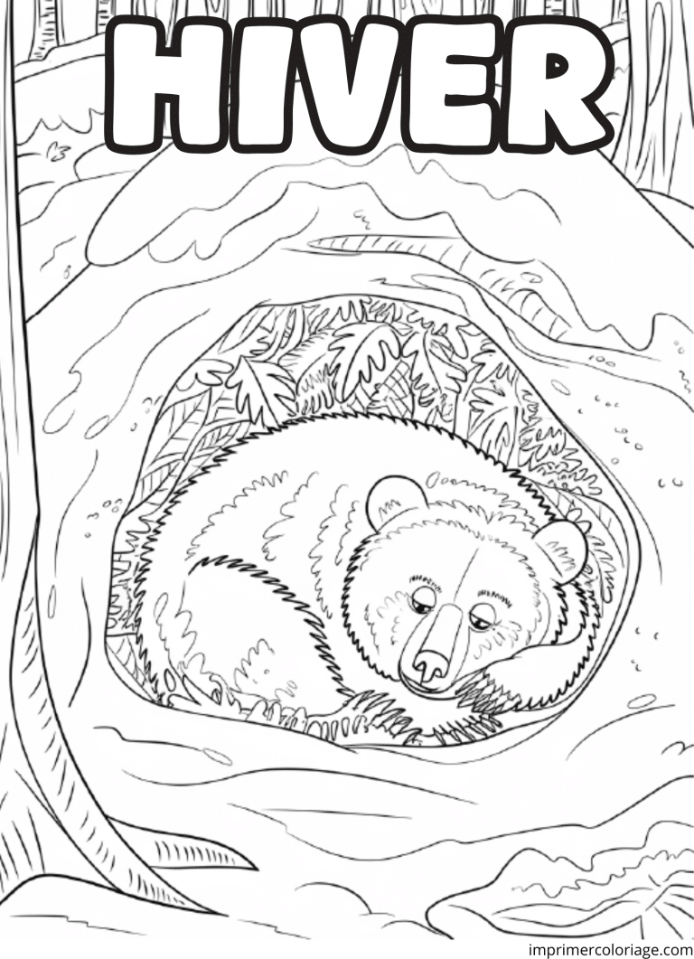 Coloriage ours des neiges hiver - dessin gratuit &agrave; imprimer