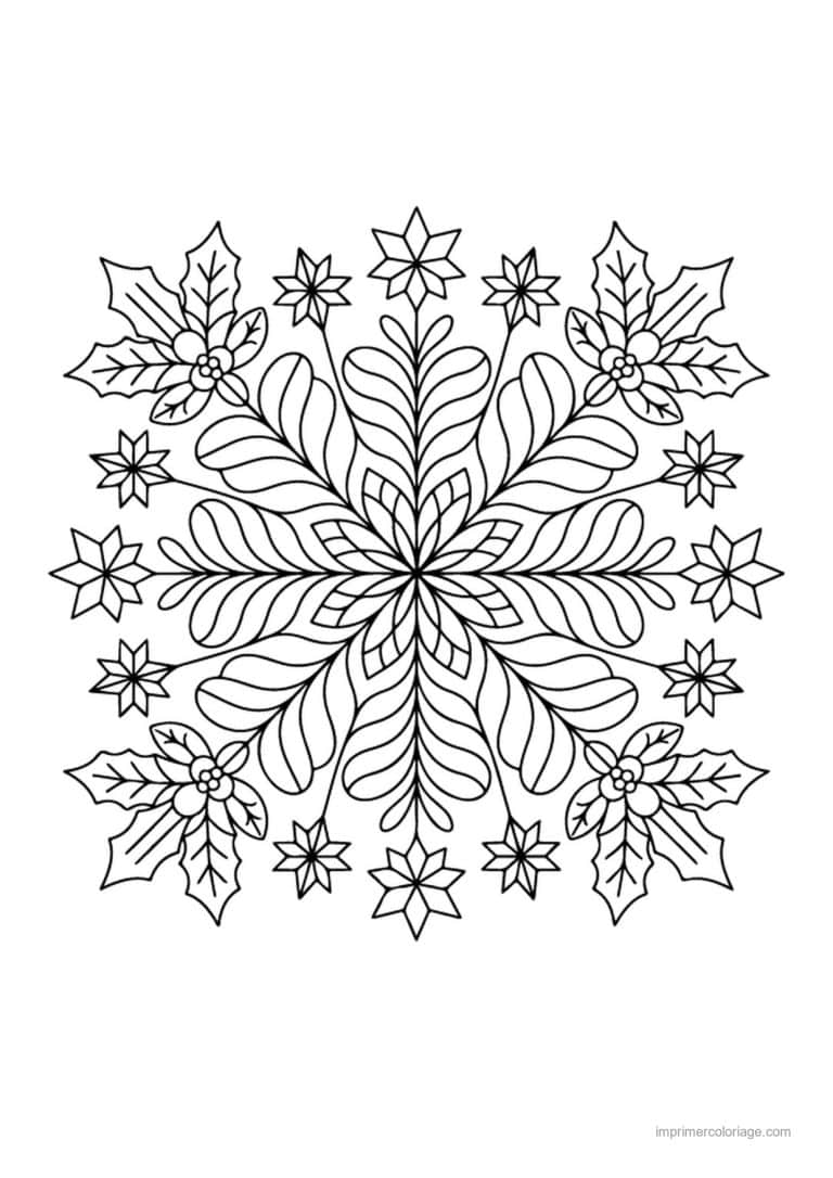 coloriage coloriage hiver mandala grand flocon ornemental - dessin gratuit &agrave; imprimer