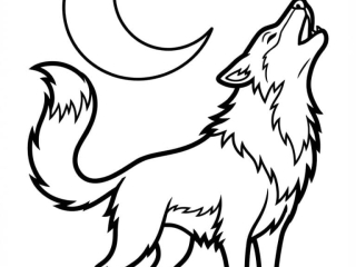 coloriage loup hurle à imprimer coloriage loup hurle - dessin gratuit à imprimer