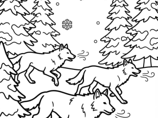 coloriage loup meute foret neige à imprimer coloriage loup meute foret neige - dessin gratuit à imprimer