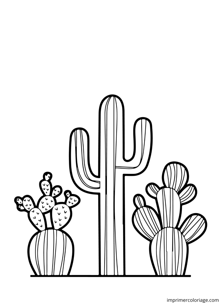 Coloriage CACTUS MANDALA désert à imprimer Coloriage CACTUS MANDALA désert - dessin gratuit à imprimer