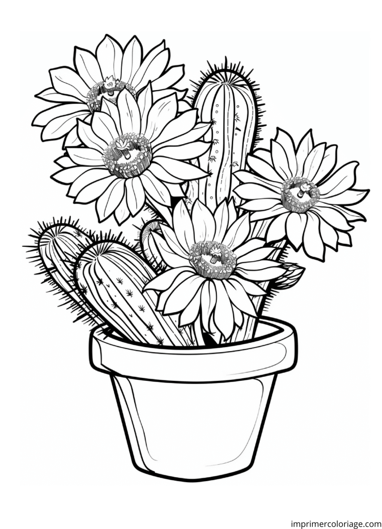 Coloriage cactus bouquet à imprimer Coloriage cactus bouquet - dessin gratuit à imprimer