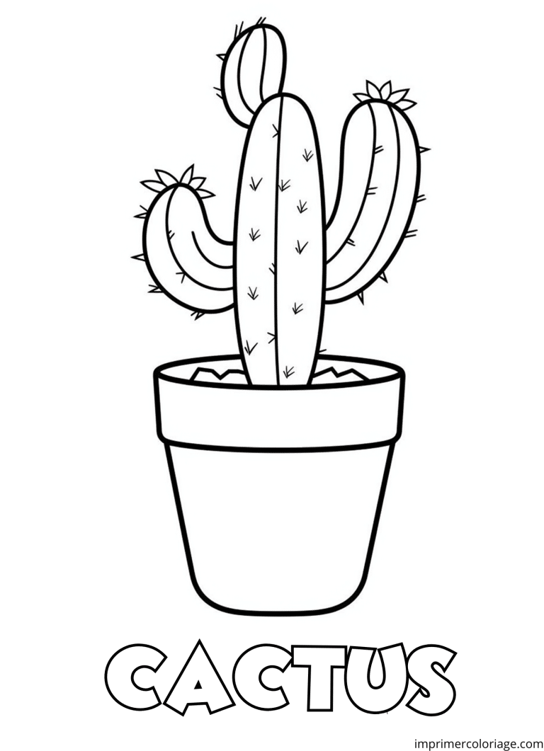 Coloriage cactus en pot facile à imprimer Coloriage cactus en pot facile - dessin gratuit à imprimer