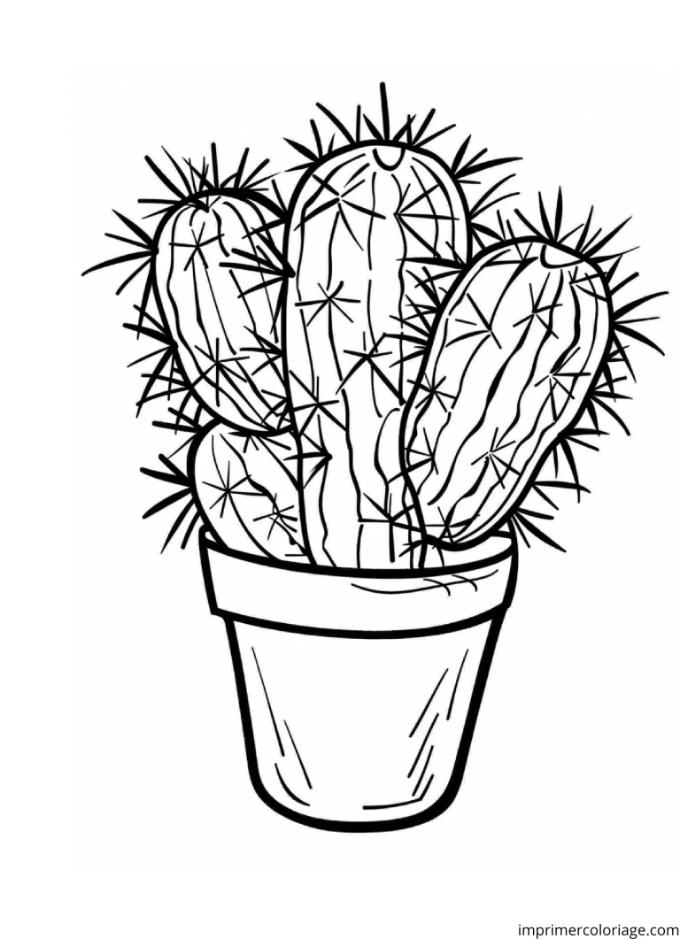 Coloriage cactus qui pique à imprimer Coloriage cactus qui pique - dessin gratuit à imprimer