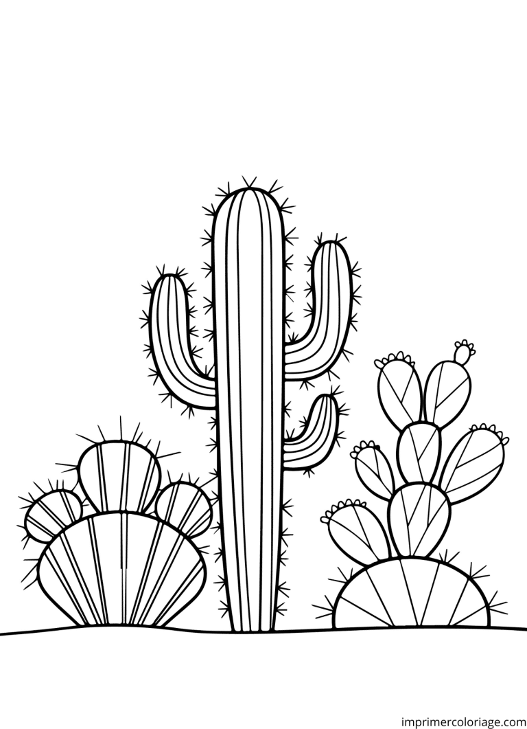 Coloriage cactus qui piquent à imprimer Coloriage cactus qui piquent - dessin gratuit à imprimer