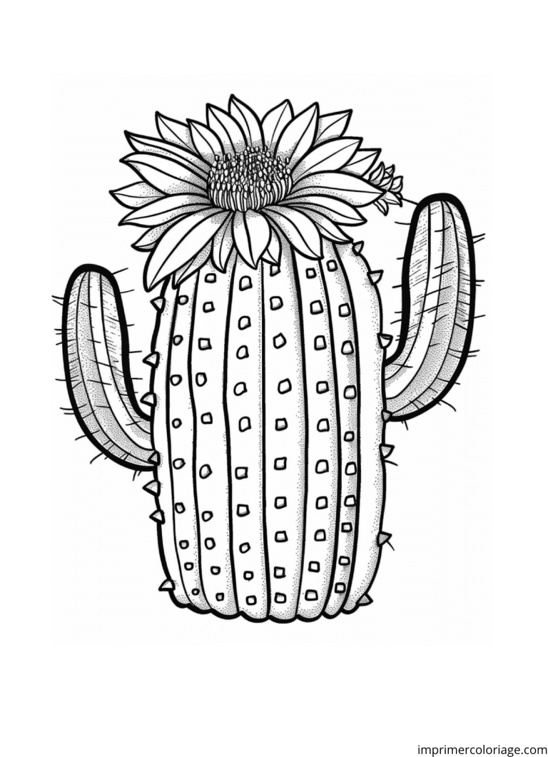 dessin cactus à imprimer dessin cactus - dessin gratuit à imprimer