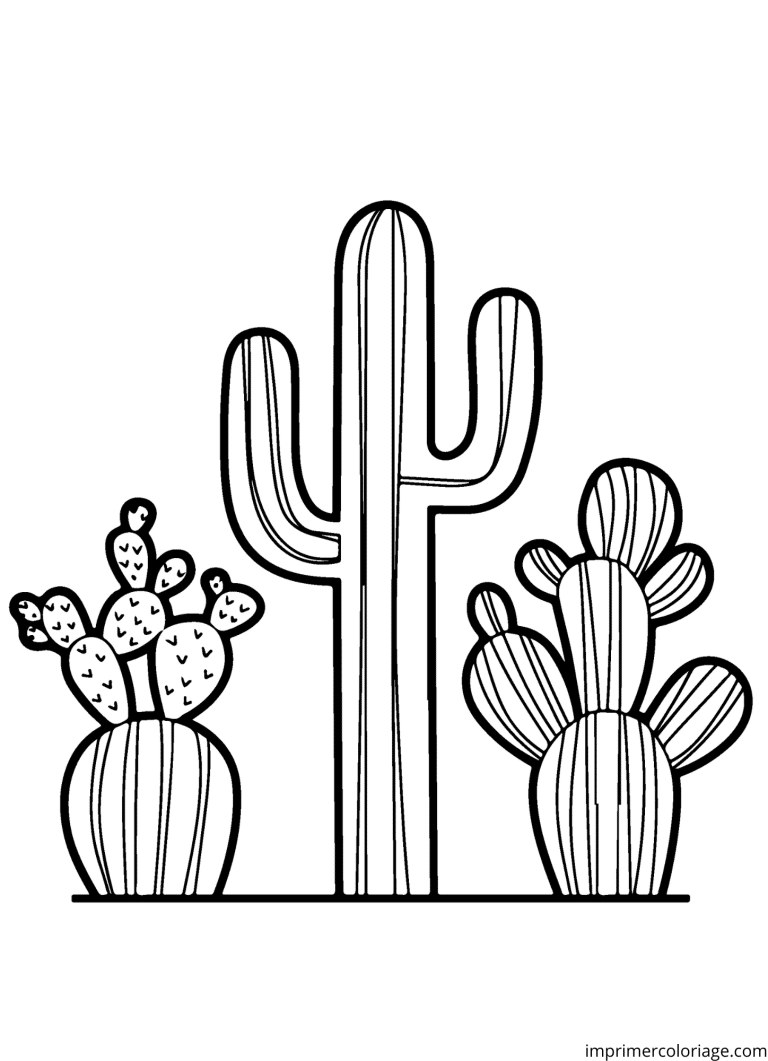 dessin cactus en mandala à imprimer dessin cactus en mandala - dessin gratuit à imprimer