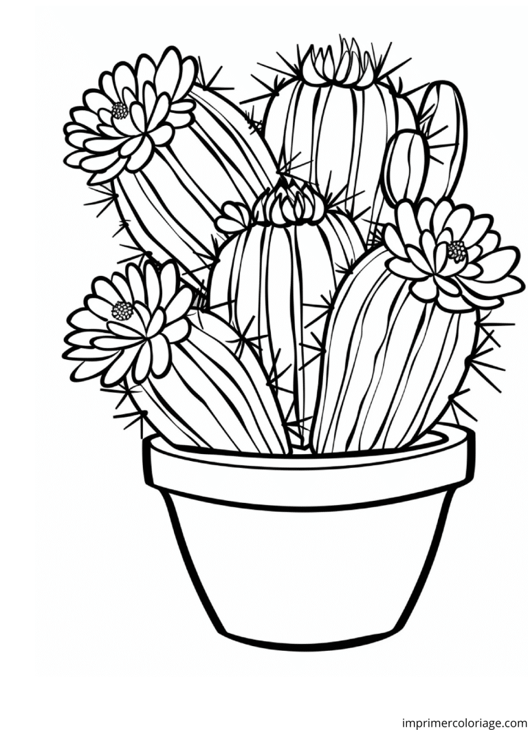 dessin cactus pots à imprimer dessin cactus pots - dessin gratuit à imprimer