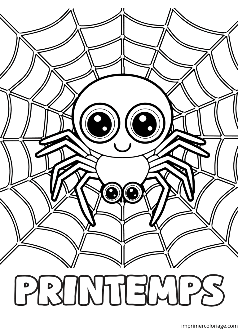 Coloriage araignee printemps - dessin gratuit &agrave; imprimer