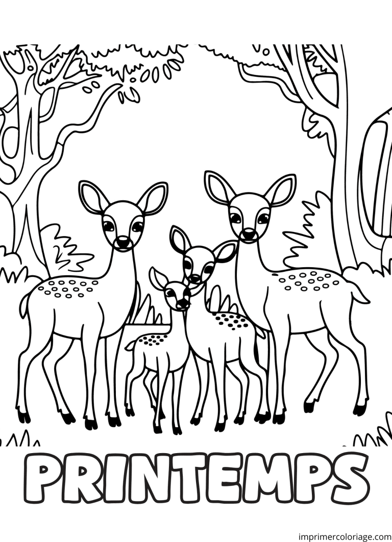 Coloriage biche printemps - dessin gratuit &agrave; imprimer