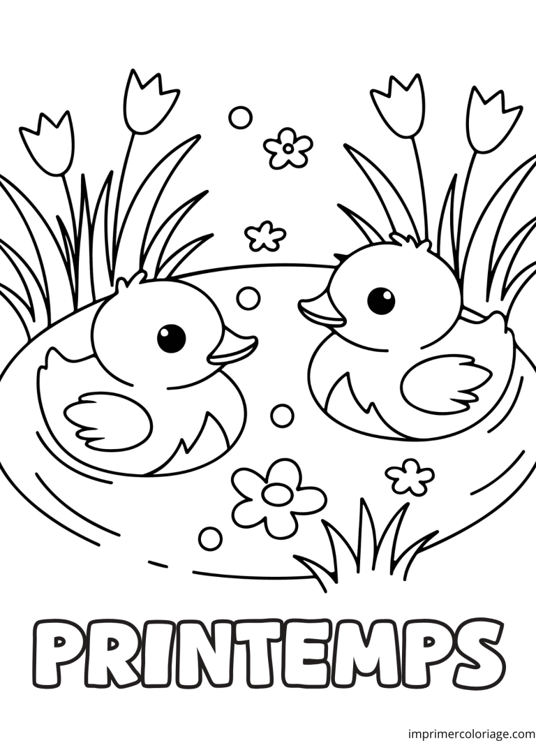Coloriage canard printemps - dessin gratuit &agrave; imprimer