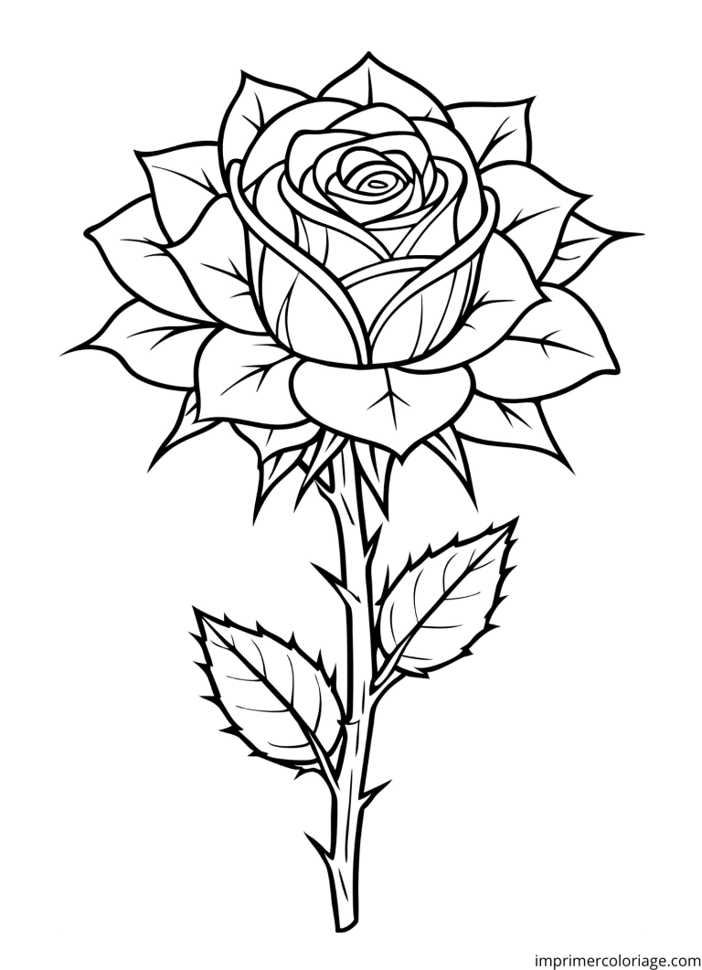 Coloriage de jolie rose rouge avec épines à imprimer Coloriage de jolie rose rouge avec épines - dessin gratuit à imprimer