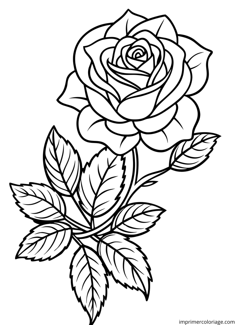 Coloriage de rose épines blanches à imprimer Coloriage de rose épines blanches - dessin gratuit à imprimer
