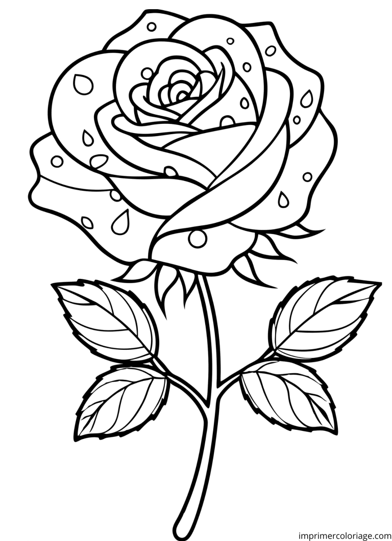 Coloriage de rose goutte de pluie à imprimer Coloriage de rose goutte de pluie - dessin gratuit à imprimer