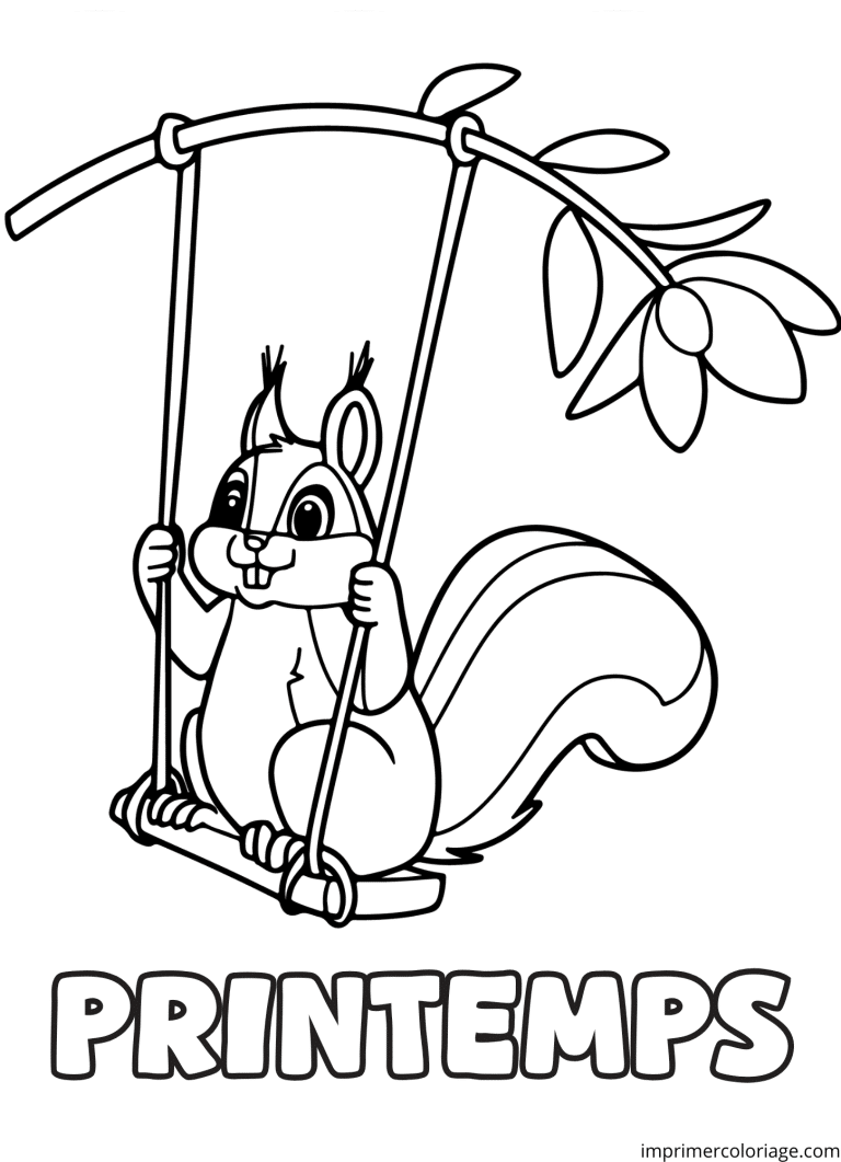 Coloriage &eacute;cureuil balan&ccedil;oire - dessin gratuit &agrave; imprimer