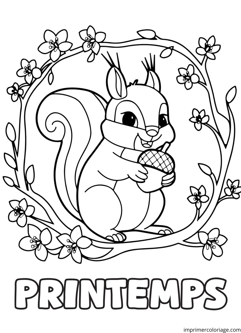 Coloriage ecureuil noisette - dessin gratuit &agrave; imprimer