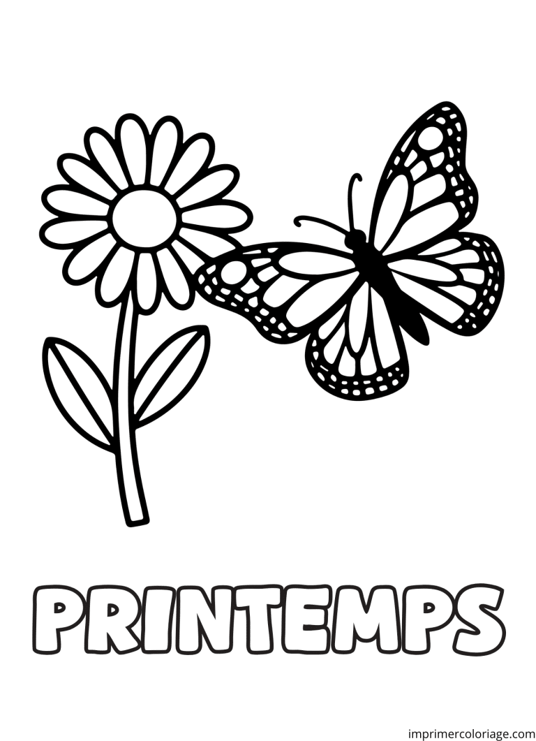 Coloriage fleur papillon printemps - dessin gratuit &agrave; imprimer