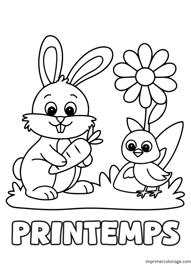 Coloriage fleurs du printemps (2) - dessin gratuit &agrave; imprimer