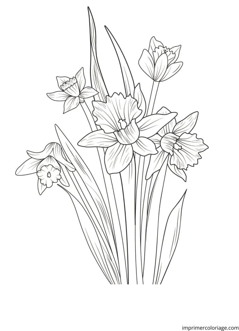 Coloriage jonquille enfant - dessin gratuit &agrave; imprimer