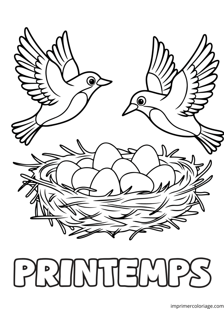 Coloriage oiseaux dans le nid - dessin gratuit &agrave; imprimer