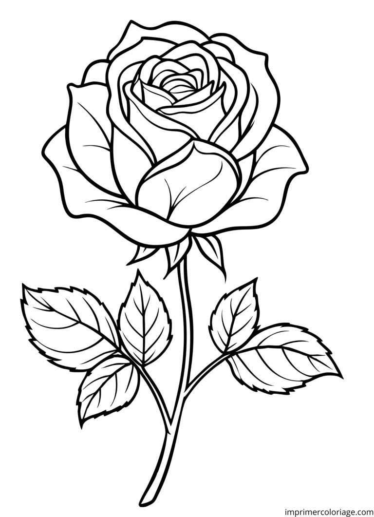 Coloriage rose simple à imprimer Coloriage rose simple - dessin gratuit à imprimer