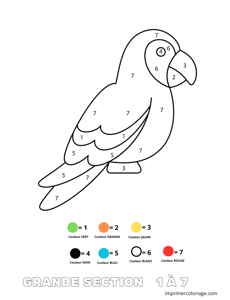Coloriage magique grande section de perroquet 1 &agrave; 7 - dessin gratuit &agrave; imprimer