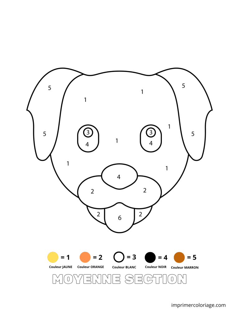 Coloriage magique moyenne section petit chien - dessin gratuit &agrave; imprimer