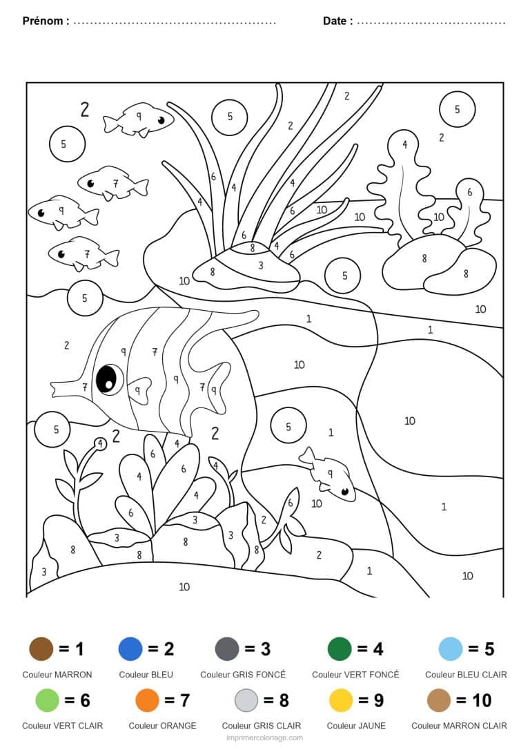coloriage magique animaux poisson papillon - dessin gratuit &agrave; imprimer
