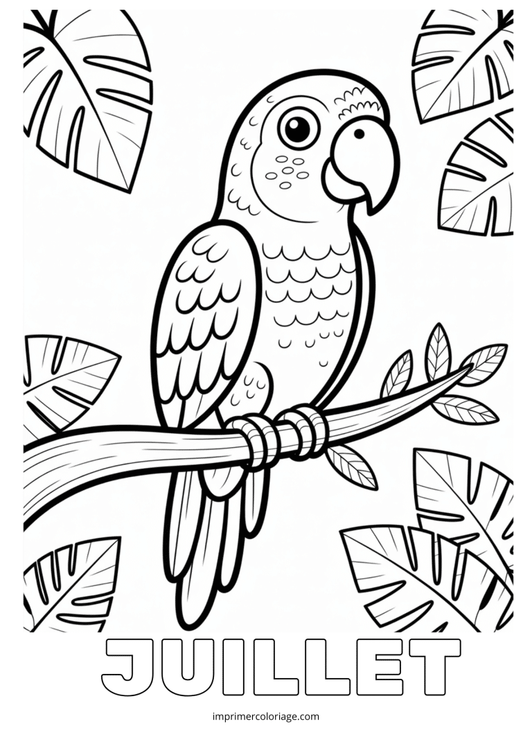 Coloriage juillet perroquet - dessin gratuit &agrave; imprimer