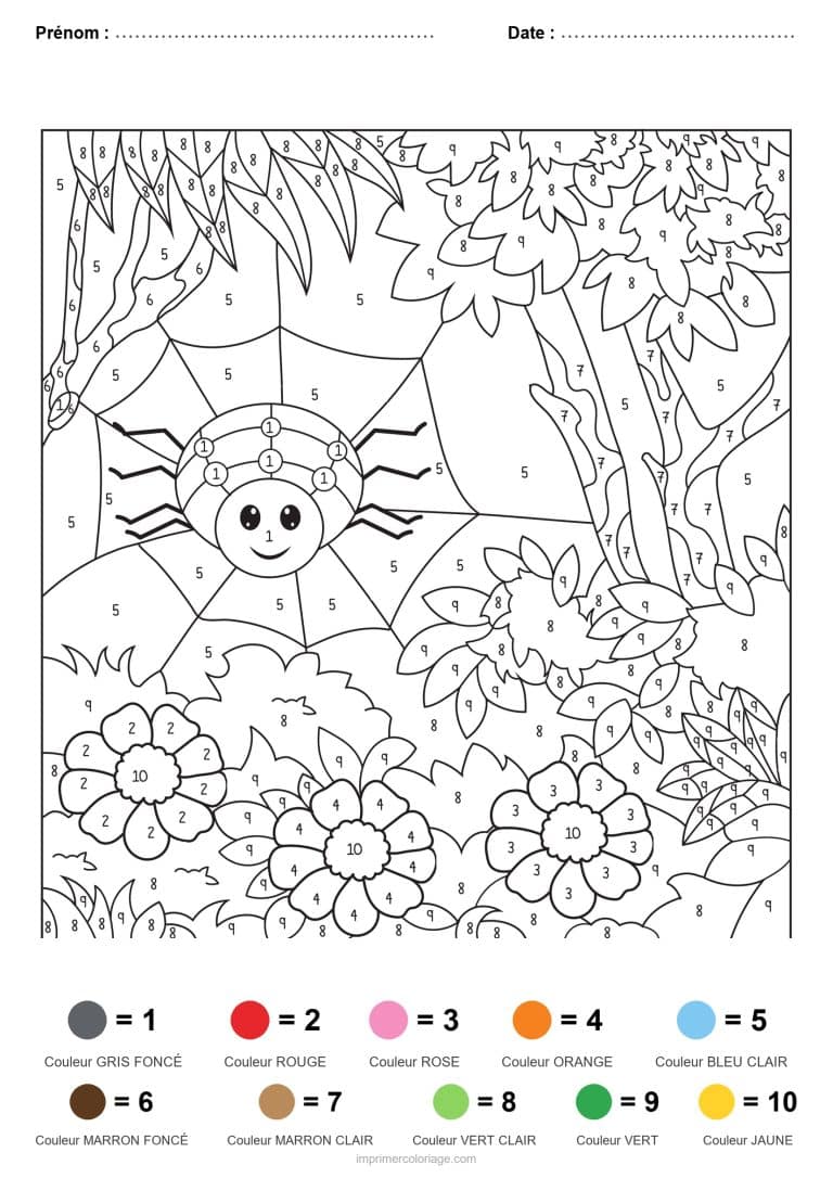 coloriage magique animaux araignee dans la foret - dessin gratuit &agrave; imprimer