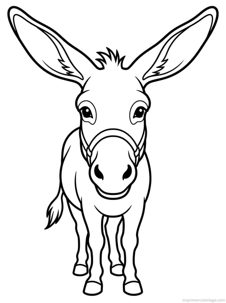 coloriage ane face grandes oreilles - dessin gratuit &agrave; imprimer