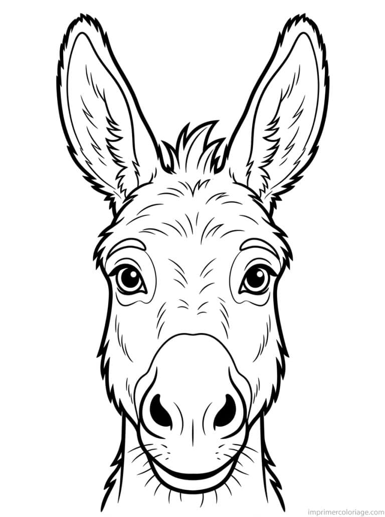 coloriage ane portrait visage - dessin gratuit &agrave; imprimer