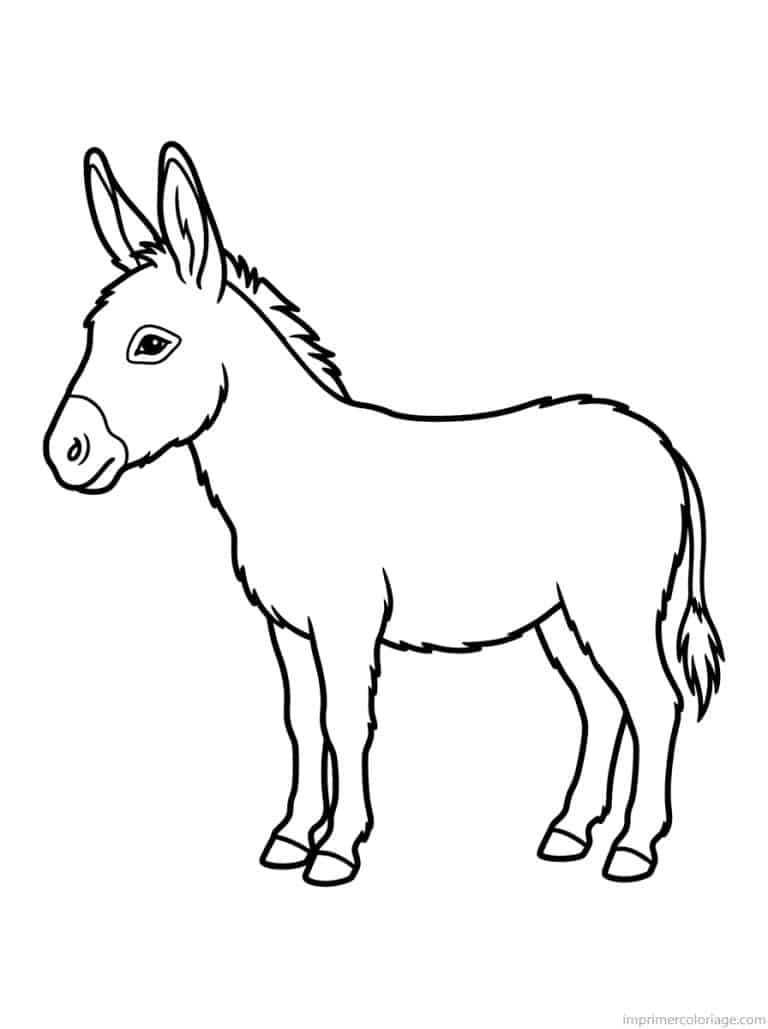 coloriage ane profil oreilles - dessin gratuit &agrave; imprimer
