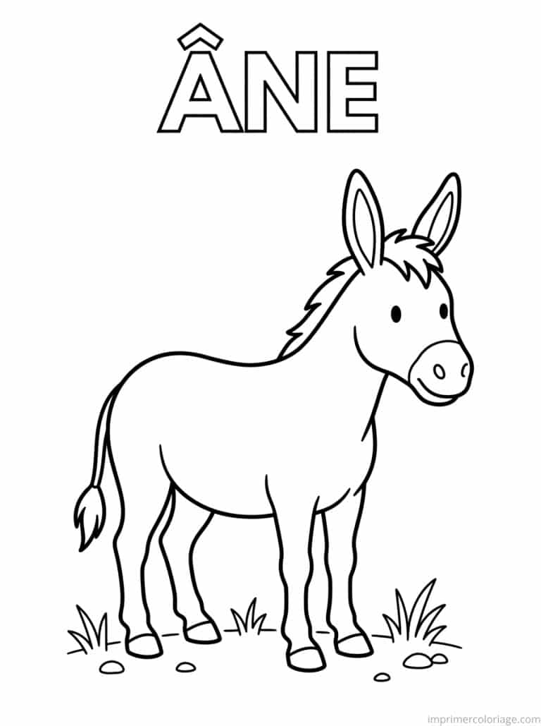 coloriage ane titre haut - dessin gratuit &agrave; imprimer