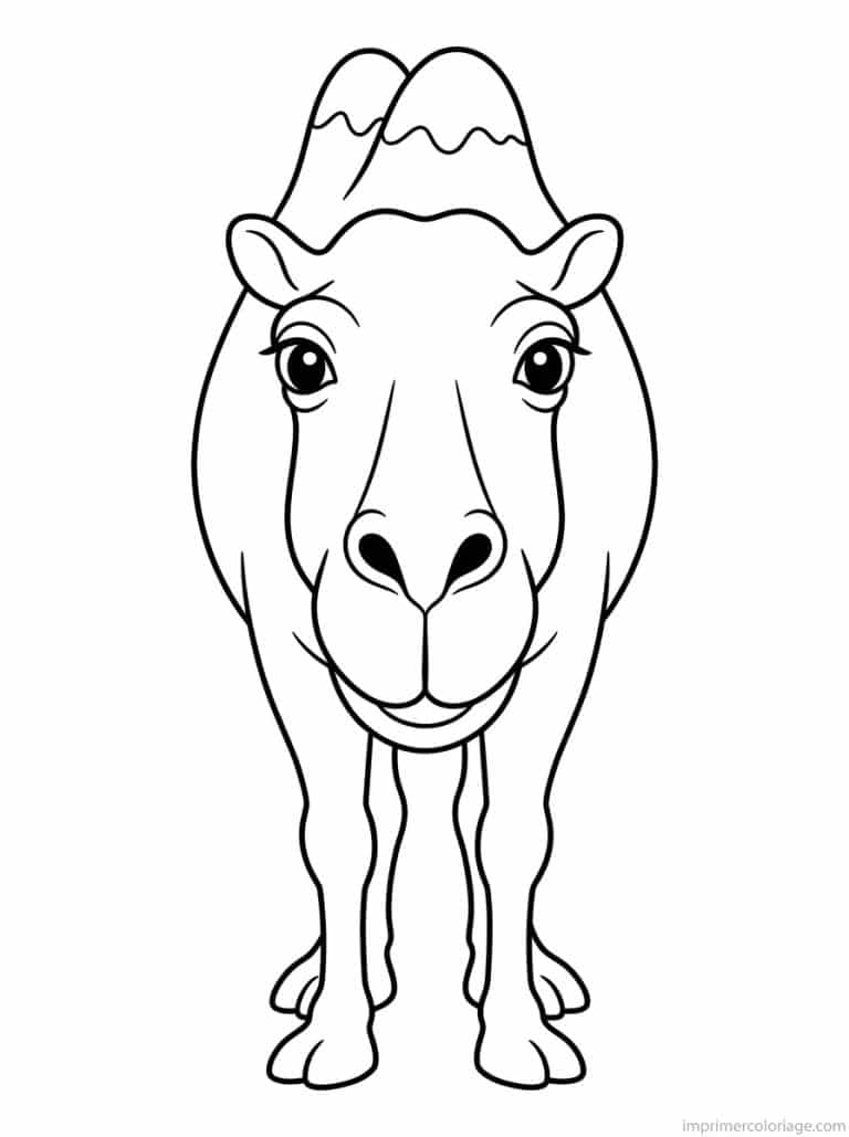 coloriage chameau face humps - dessin gratuit &agrave; imprimer