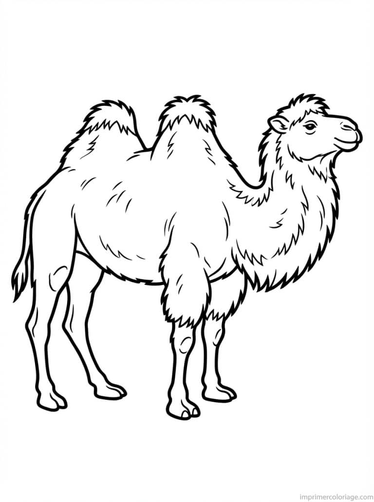 coloriage chameau profil - dessin gratuit &agrave; imprimer