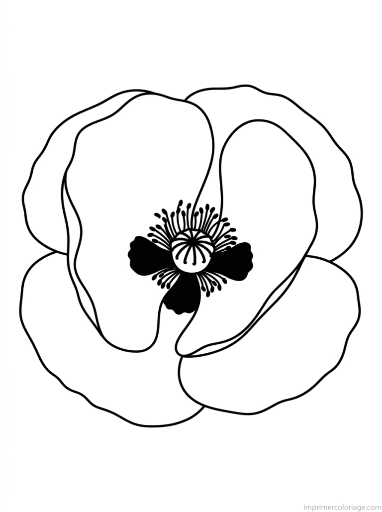 coloriage coquelicot face grand à imprimer coloriage coquelicot face grand - dessin gratuit à imprimer