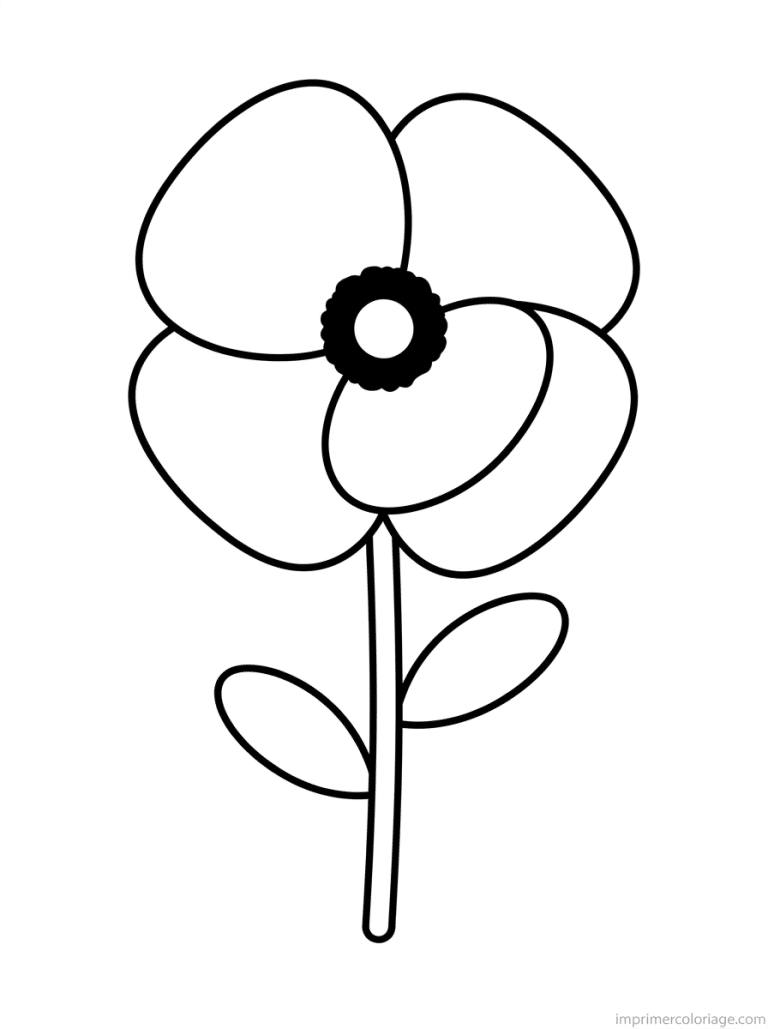 coloriage coquelicot simple tige à imprimer coloriage coquelicot simple tige - dessin gratuit à imprimer