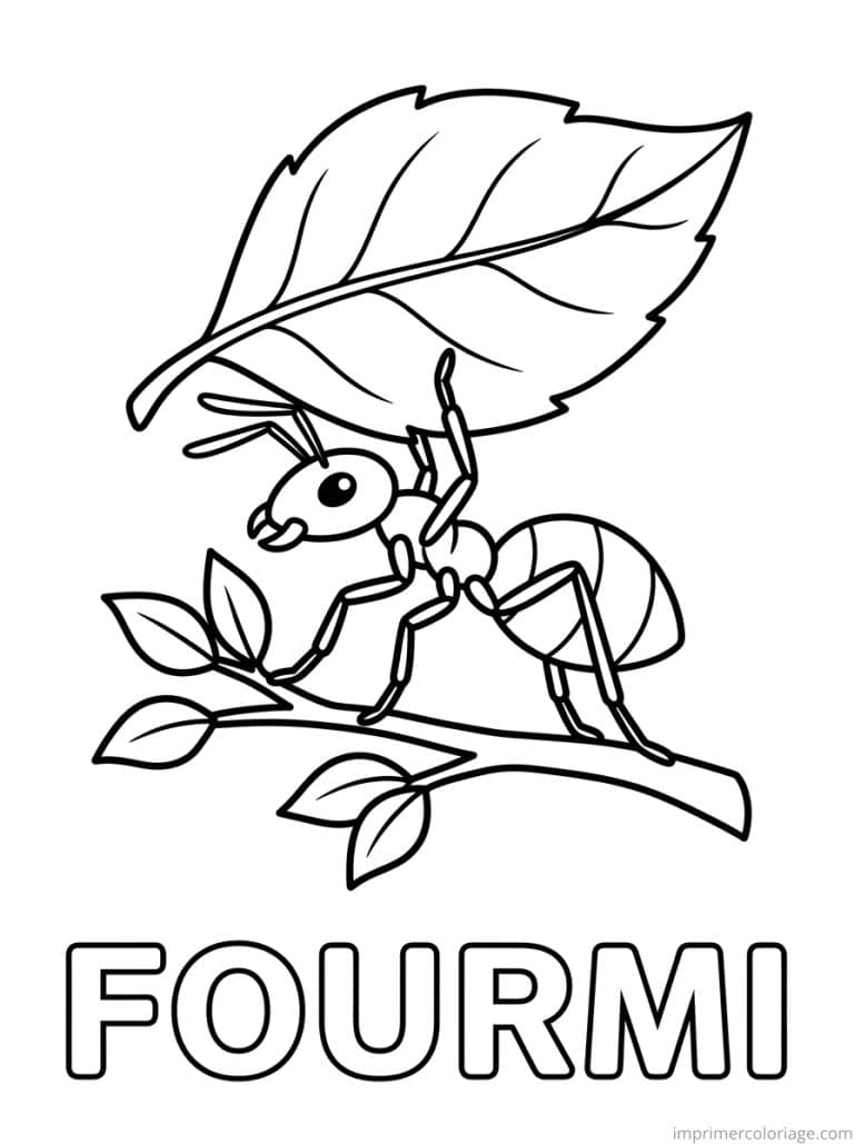 coloriage fourmi titre bas - dessin gratuit &agrave; imprimer