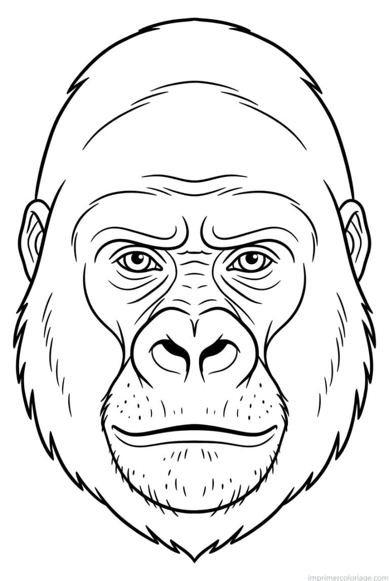 coloriage gorille portrait visage - dessin gratuit &agrave; imprimer
