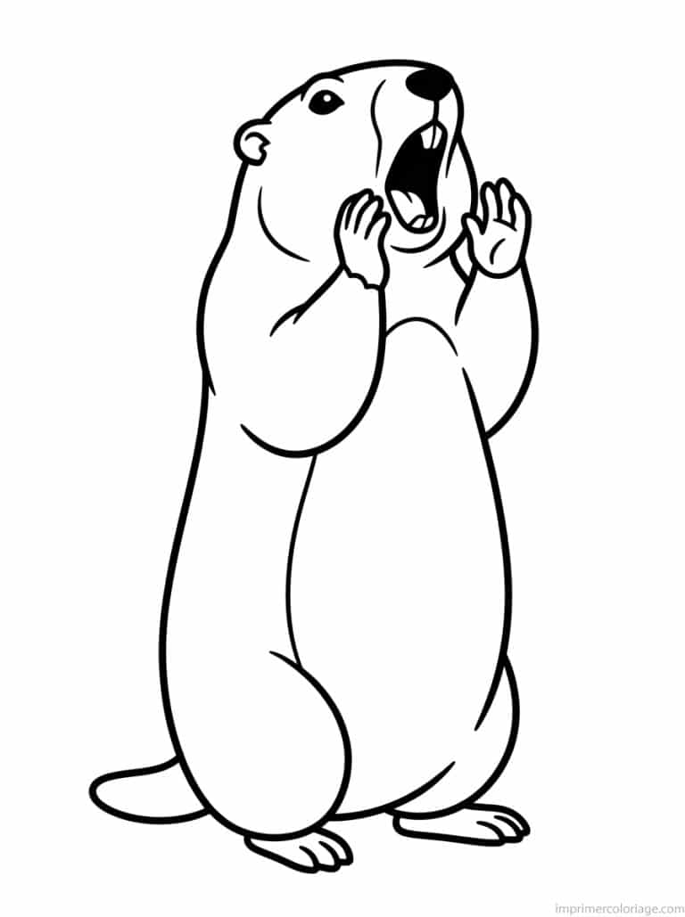 coloriage marmotte crie alerte - dessin gratuit &agrave; imprimer