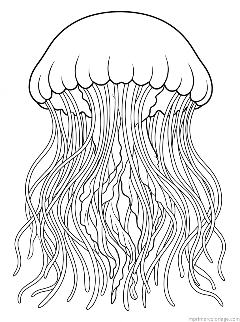 coloriage meduse criniere lion grande - dessin gratuit &agrave; imprimer