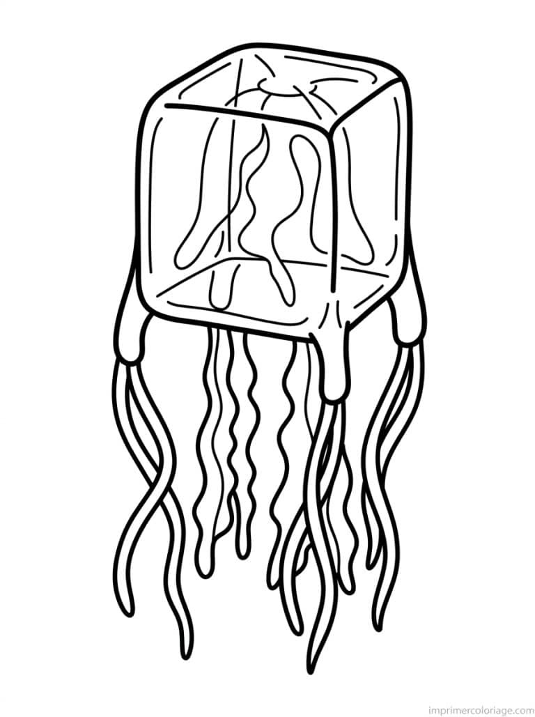 coloriage meduse cube carree - dessin gratuit &agrave; imprimer