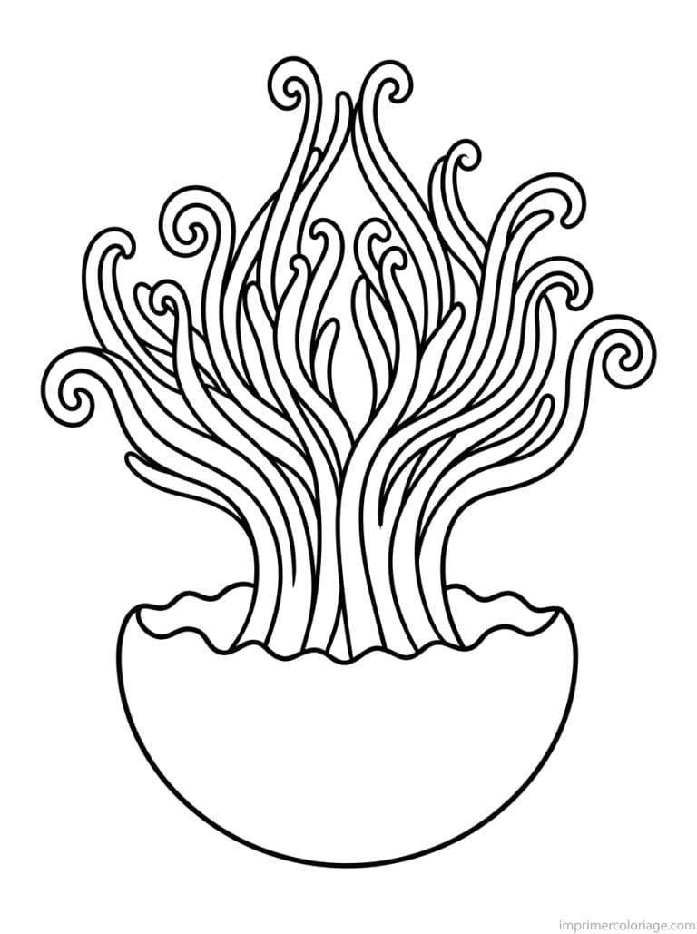 coloriage meduse inversee couronne - dessin gratuit &agrave; imprimer