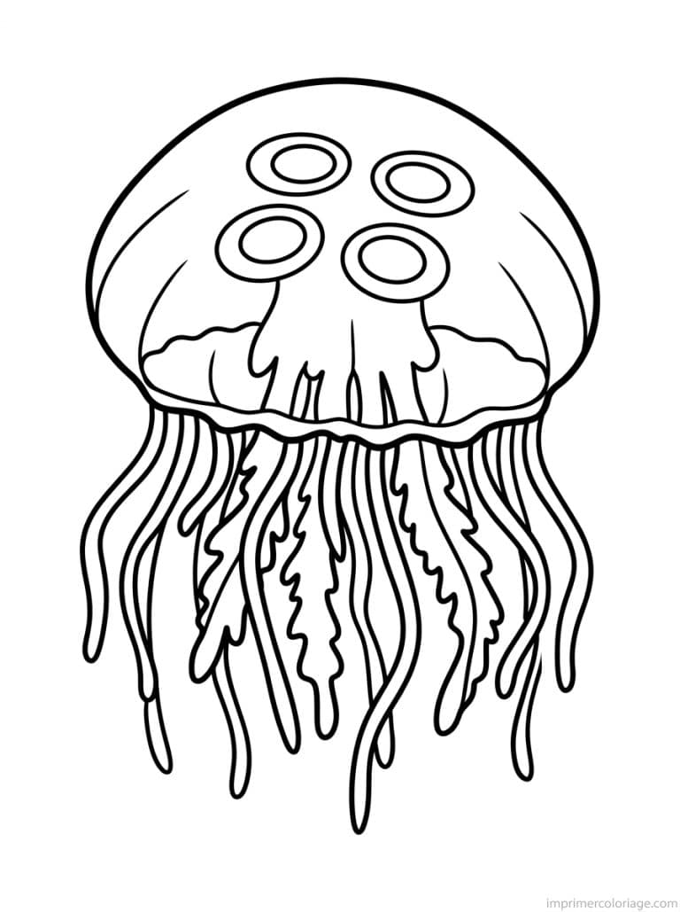 coloriage meduse lune quatre anneaux - dessin gratuit &agrave; imprimer