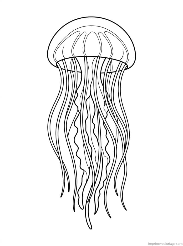 coloriage meduse profil tentacules - dessin gratuit &agrave; imprimer