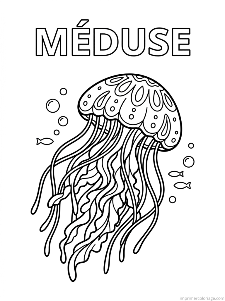 coloriage meduse titre haut - dessin gratuit &agrave; imprimer